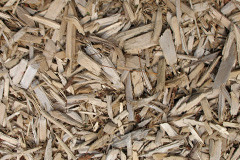 biomass boilers Loanend